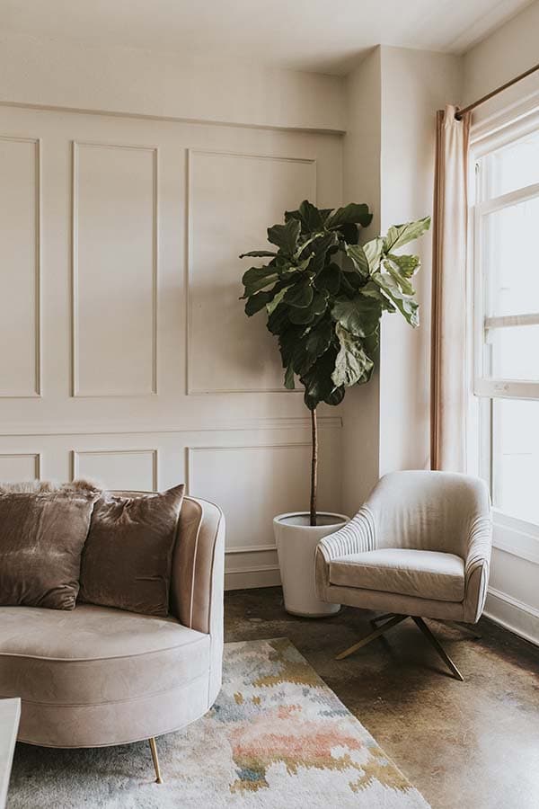 Living room with neutral furniture a large plant and rod pocket panels